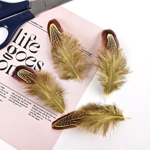 THARAHT Pheasant Plumage Feathers 120pcs Natural 2-3 Inches for Thanksgiving Crafts Hats Sewing Clothing Wedding Dream Catcher Decoration Feathers,Multicolored in Kuwait