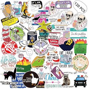 120pcs Funny Waterproof Stickers Adults Meme Prank Sarcastic Stickers Pack for Water Bottles,Laptops Decals,Phones,Hard Hats,Bumpers,Car,Gaming Consoles Scrapbooking-Vinyl Decals(2 of Each)