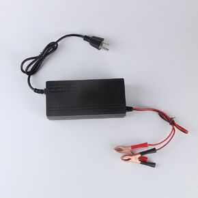 12V 10A شاحن بطارية الليثيوم 14.6V LIFEPO4 شاحن بطارية AC-DC شاحن ذكي مع مقطع التمساح ومؤشر LED لبطاريات Lithium LifePo4 بطارية عميقة للدورة القابلة لإعادة الشحن