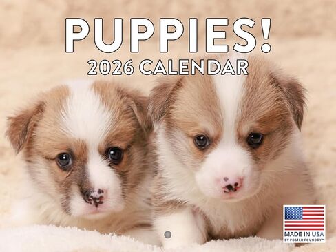 Rottweiler Calendar 2025 شهرية الحائط التقويم 12 شهرًا | صنعت أمريكية في الولايات المتحدة الأمريكية in Kuwait