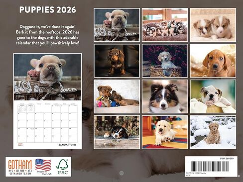 Rottweiler Calendar 2025 شهرية الحائط التقويم 12 شهرًا | صنعت أمريكية في الولايات المتحدة الأمريكية in Kuwait