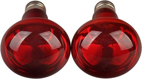LUCKY HERP Reptile Infrared Basking Bulb,Terrarium Lighting Lamp,2-Pack (25, Watts) in Saudi Arabia