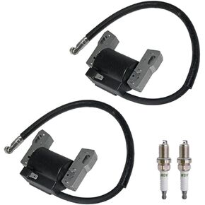 2Pcs Ignition Coil 592846 Fits for 691060 592846 799651 499447 Ignition Coil Compatible with BS Engines with Spark Plug