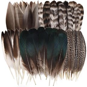FeelfunFeather Pheasant Feathers -50pcs 5 Style Natural Mixed Decorative Spotted Feathers for DIY Crafts Wedding Home Party Decoration