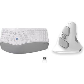 DeLUX Wireless Ergonomic Keyboard and Mouse Combo (GM901D&M618GDB-White)