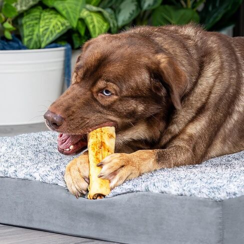 Pet Factory 100% Made in USA Beefhide 5" Chip Rolls Dog Chew Treats - Peanut Butter Flavor, 20 Count/1 Pack in Kuwait