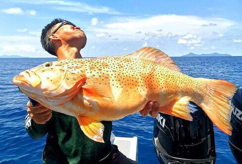 Saltwater Spoons Lures，Blade Bait ，Jigs Sinking Metal Fishing Lures, Jigging Bait,Fishing Lures Kit ，bass Lure,Amazing Fishing Gifts for Men and Family, in Saudi Arabia