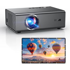 outdoor projector and screen combo