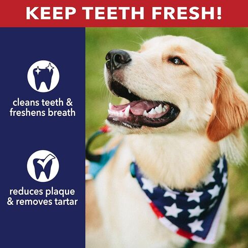Pet Factory 100% Made in USA Beefhide 5" Chip Rolls Dog Chew Treats - Chicken Flavor, 5 Count/1 Pack in Kuwait