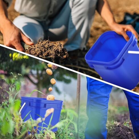 Suzile 10 Pcs 2.2 Gallon Plastic Bucket with Lid Square Bucket 10L Utility Industrial Pail with Handle Food Grade Container for Food Oil Tub Water Fishing Paint House Cleaning Car Washing(Black) in Kuwait