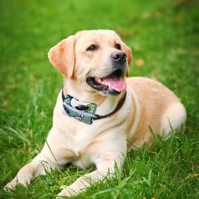 2 Pack Dog Activity Tracker GPS Pouch for Collar Monitor Dog Tag
