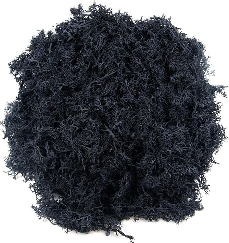 طحلب صناعي للنباتات في الأماكن المغلقة، 3.5 أونصة، طحالب الرنة المحفوظة للديكور المركزي، طحلب صناعي لديكور الطحالب وديكور المنزل ونباتات بوعاء وحرف ديكور جدار الزفاف (أزرق) in Kuwait