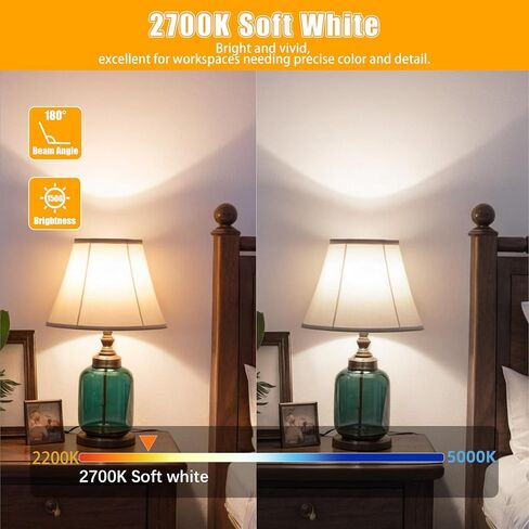 MASTERY MART A19 [Dimmable] Light Bulbs, [100W Equivalent], 5000K Daylight White, E26 Base, 15.5W 1500 Lumens Led Bulbs, Energy Star, UL Listed, Lighting for Bedroom Living Room Home Office-12 Pack in Saudi Arabia