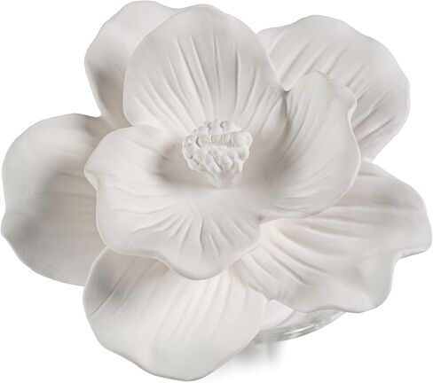 Blush Porcelain Oil Diffuser, 1.69 oz- Sunset Beach in Saudi Arabia