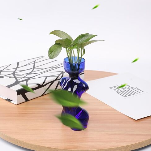 Propagation Vases Glass Vase for Plants Propagation Jars Unique Flower Vase for Avocado, Bulbs, and Plant Cuttings 2pc Elegant Female Silhouette in Saudi Arabia