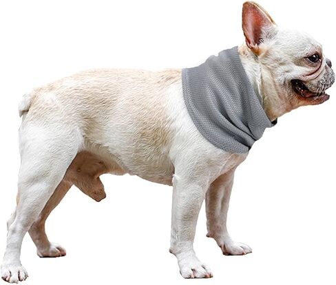 NACOCO 2 Pcs Dog Instant Cooling Scarf Summer Pet Bandana Cats Collar Ice Towels for Bulldog (Blue, M) in Kuwait