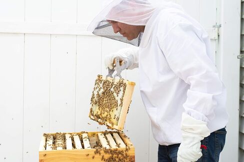 VIVO Professional White XXL Beekeeping Suit, Jacket, Pull Over, Smock with Veil BEE-V105XL2 in Kuwait