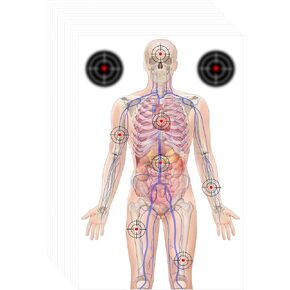 50 PCS 23 x 35’’ Silhouette Paper Targets Human Silhouette Target Anatomical Targets Medically Designed Targets Life Size Human Paper Targets Range Anatomical Target for Practice