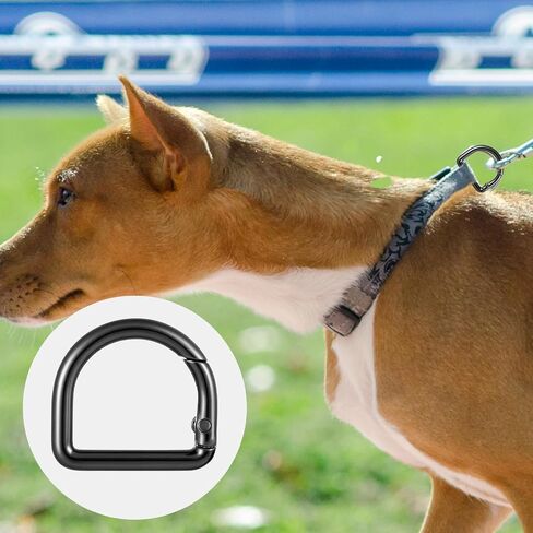 12Pcs Small D Ring Carabiner Clips, Stainless Steel Mini Carabiner Keychain Spring D Rings Hook for Dog Collars Car Keyring Backpack Clips Webbing Buckle Paracord Keyrings Purse Chain in Saudi Arabia