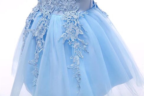 Weileenice Flower Girl Lace Dress Pageant Kids Wedding Christmas Holiday Party Dresses in Kuwait