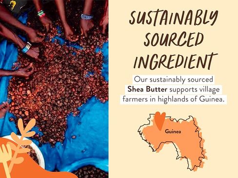 BABO Botanicals Sensitive Baby Fragrance-Free Daily Hydrating Baby Lotion - Shea Butter & Jojoba Oil - for Body & face - for Babies, Kids & Adults with Sensitive Skin - EWG Verified - Vegan in Kuwait