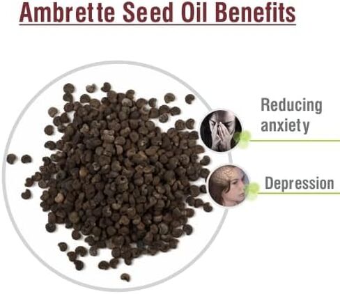 زيت كريساليس كاجيبوت (Melaleuca Leucadendra) - 0.51 أونصة سائلة (15 مل) in Saudi Arabia