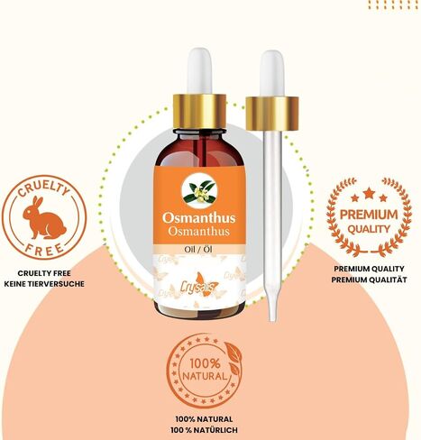 Mace Essential Oil (Myristica Fragrans) 100% Natural Therapeutic Grade Steam Distilled for Personal Care, 30 ml with Dropper in Saudi Arabia