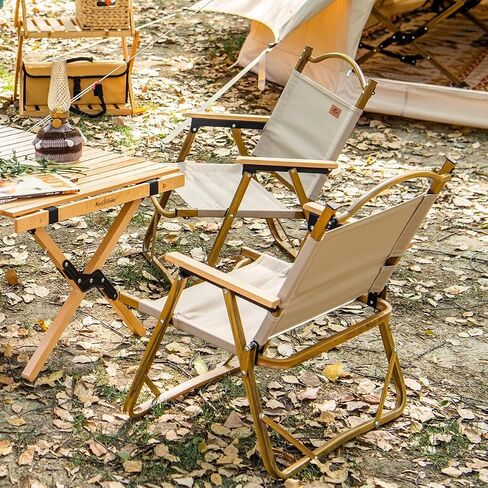 Naturehike Folding Camping Chair, Kermit Beach Chair Camping, Aluminum Outdoor Beach Chair with Solid Wood Armrest, Portable Collapsible Fishing Chair for Hiking Lawn Picnic, Black, Supports 330 Lbs in Saudi Arabia