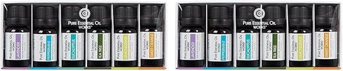 Top 6 Aromatherapy Oil Kit, 100% Pure Therapeutic Grade Essential Oils - Lavender, Peppermint, Eucalyptus, Tea Tree, Lemongrass and Sweet Orange - 10ml in Saudi Arabia