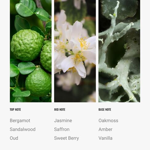 | Bonbori Pro-Pod Oil Blend | Luxury Hotel Inspired Aromatherapy Scent Diffuser Oil | Bergamot, Jasmine and Rose 1.7 fl oz 50 mL in Saudi Arabia