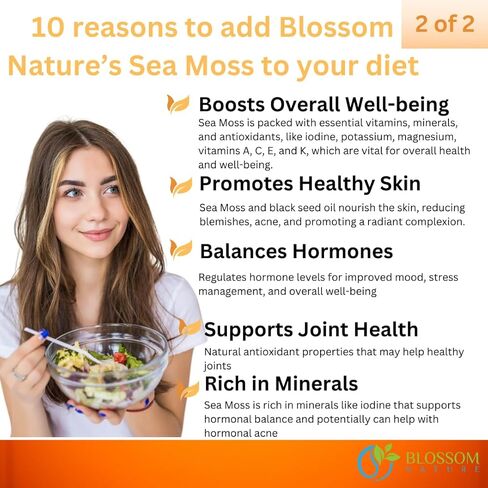 10 في 1 علكة طحالب البحر الأيرلندية 3000 مجم مع زيت الحبة السوداء أشواغاندا بلاديروراك الأرقطيون والكركم وخل التفاح وعسل المانوكا والهندباء - لجهاز المناعة والجهاز الهضمي، صنع في الولايات المتحدة الأمريكية (العلكة) in Kuwait