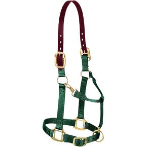 Weaver Leather Nylon Adjustable Breakaway Horse Halter, Large, Hunter Green