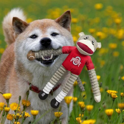 مجموعة ألعاب الحيوانات الأليفة من Littlearth للبالغين من الجنسين NCAA Ohio State Buckeyes Sock Monkey and Flying Disc، لون الفريق، مقاس واحد in Saudi Arabia