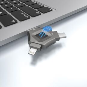 256GB, Fingerprint Unlocked Flash Drive, Secure Password Protected USB Flash Drive, USB Memory Stick, USB Finger Disk with Type-c Interface for Android/iPhone/iPad/iPadmini/PC.