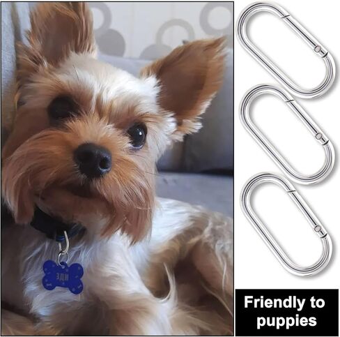 3pcs Oval Spring Clips, Metal O Ring Carabiner Keyring, Heavy Duty Buckle Clasp for Keychains Backpacks Purses DIY Crafts in Kuwait