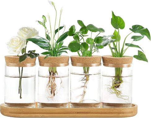 Dahey Plant Propagation Terrarium Desktop Glass Planter Station Water Planting Glass Vase with Lid and Wooden Stand for Propagating Hydroponic Plants Centerpiece Office Home Garden Decor, 3 Pcs in Saudi Arabia