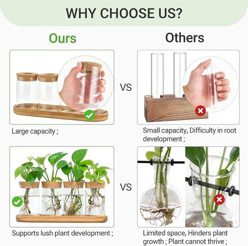 Dahey Plant Propagation Terrarium Desktop Glass Planter Station Water Planting Glass Vase with Lid and Wooden Stand for Propagating Hydroponic Plants Centerpiece Office Home Garden Decor, 3 Pcs in Saudi Arabia