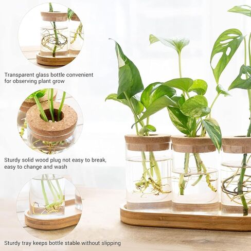 Dahey Plant Propagation Terrarium Desktop Glass Planter Station Water Planting Glass Vase with Lid and Wooden Stand for Propagating Hydroponic Plants Centerpiece Office Home Garden Decor, 3 Pcs in Saudi Arabia