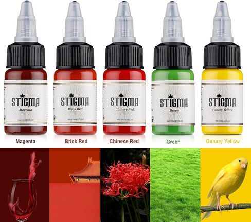 STIGMA Tattoo Ink Set 15 ml 1/2oz 14 Bottles Tattoo Pigment Set 14 Color Superior Tattoo Ink Set Tattoo Supplies TI4003-15-14 in Kuwait
