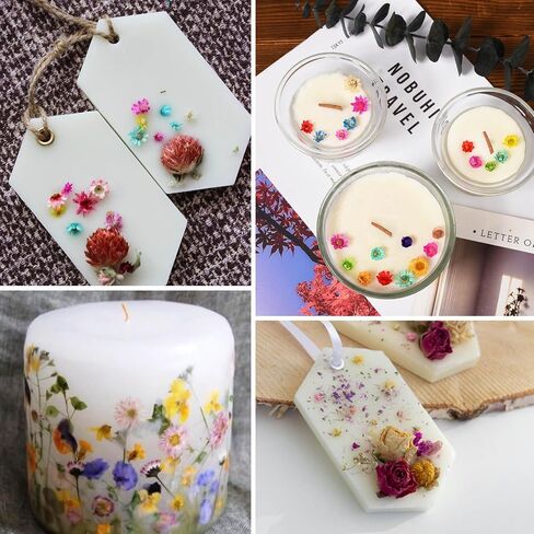 420Pcs Dried Flower for Crafts, Mini Dried Flowers for Resin, Tiny Natural Real Dried Pressed Flowers Bulk for DIY Jewelry Earrings Epoxy Molds, Candles Soap Making in Kuwait