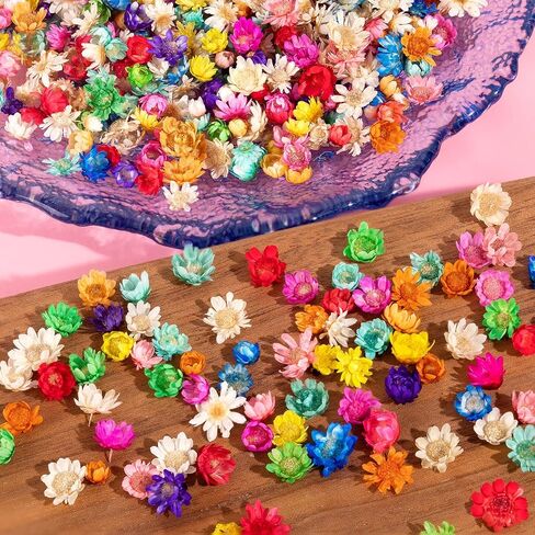 420Pcs Dried Flower for Crafts, Mini Dried Flowers for Resin, Tiny Natural Real Dried Pressed Flowers Bulk for DIY Jewelry Earrings Epoxy Molds, Candles Soap Making in Kuwait