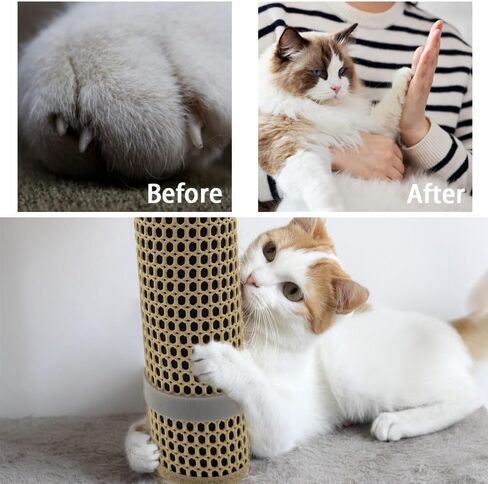 Cat Nail File Scratcher Wrapped Around a Cat Scratching Post, 16.73×13.38 Inches Sisal Cat Scratch Pad with 80 Aluminum Oxide Grit, Nail File for Cats Can Help to Trim Your Cat's Nails in Saudi Arabia