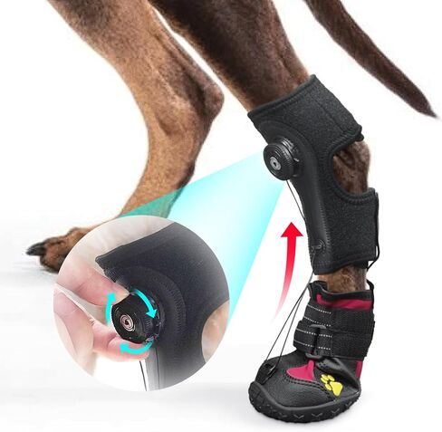Strap-On Drop Foot Brace (No Knuckling Boot Brace) for Dogs— Corrective Dog Shoes to Safely Lift Toes for Treating Foot Issues, Arthritis, and improving Walking gait in Dogs(S) in Saudi Arabia