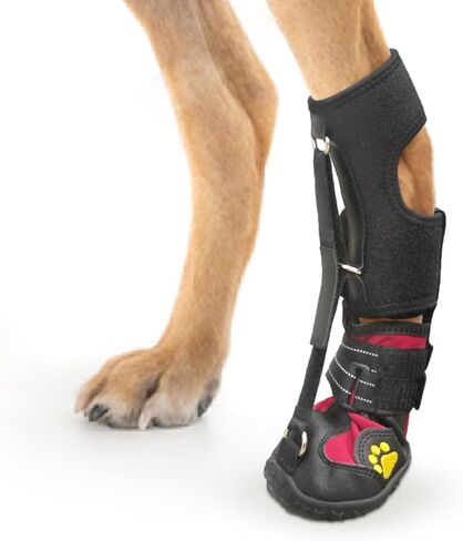Strap-On Drop Foot Brace (No Knuckling Boot Brace) for Dogs— Corrective Dog Shoes to Safely Lift Toes for Treating Foot Issues, Arthritis, and improving Walking gait in Dogs(S) in Saudi Arabia