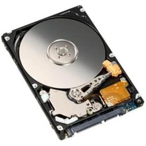 Generic 160 GB 160GB 2.5 Inch Sata Laptop Internal Hard Drive 5400 RPM for Laptop/Mac/PS3 (160 GB)
