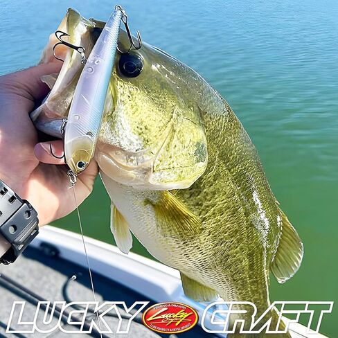 LUCKY CRAFT Sammy 105, Freshwater Lake Bass Fishing Lure, Topwater, Smallmouth, Floating, Tournament Winning, Perfect Walking The Dog, Fishing Gear, Fishing Accessories, Fishing Tackle in Saudi Arabia