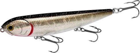 LUCKY CRAFT Sammy 105, Freshwater Lake Bass Fishing Lure, Topwater, Smallmouth, Floating, Tournament Winning, Perfect Walking The Dog, Fishing Gear, Fishing Accessories, Fishing Tackle in Saudi Arabia