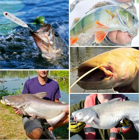 orootl flanks catfish rattling line float float lures unpinated topwater bait bait bait with eles eys peg floats for catfishing tackle santee dills in Kuwait