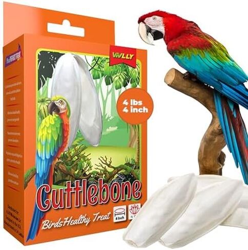 Natural Cuttlebones 6 Pack Calcium Cuttlebone Treats Suitable for All Bird Breeds - Easy to Attach with Metal Holder - Great for Parakeets Parrots Cockatiels - Chew Feeder Tortoise & Snails in Saudi Arabia