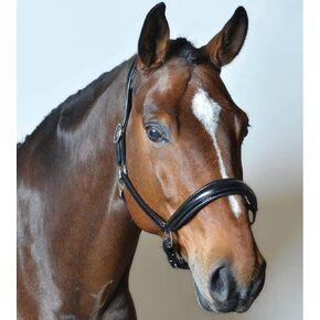 DD Leather Plain Raised Padded Horse Halter | Handcrafted & Adjustable Chin and Throat Snap Halter | Comfortable & Features The Raised Crown and Padded Nose